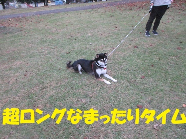 IMG_8852.JPG
