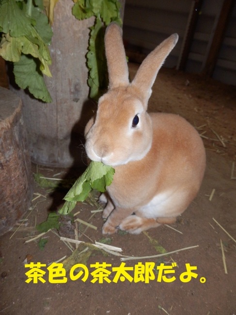 PB170227.jpg