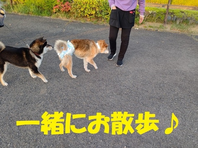 STORYPIC_00002349_BURST220417180255.jpg