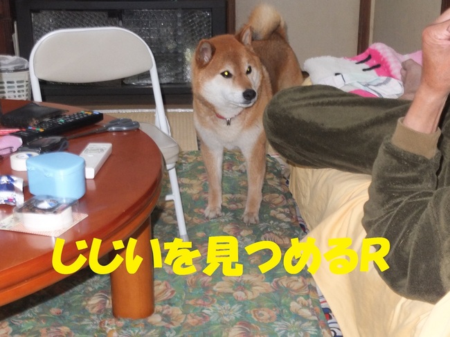-1.jpg