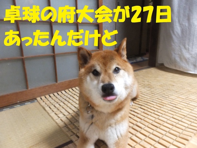 DSCF0010.JPG