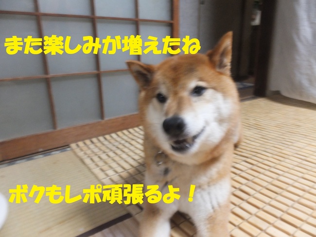 DSCF0012.JPG