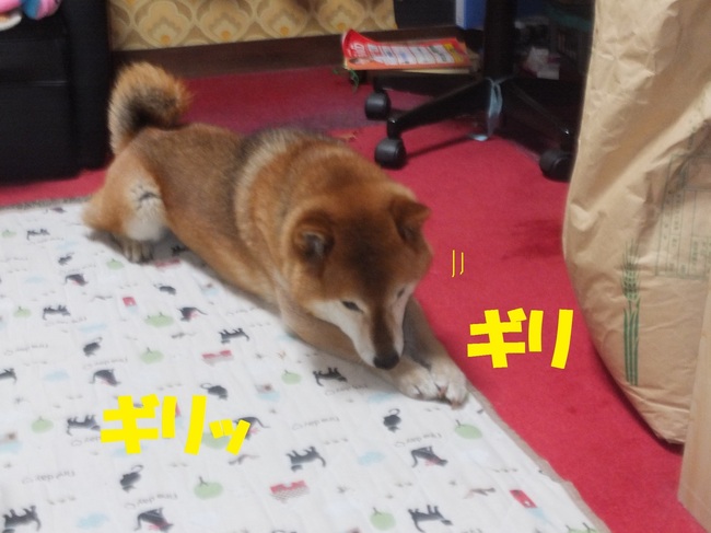 DSCF0844.JPG