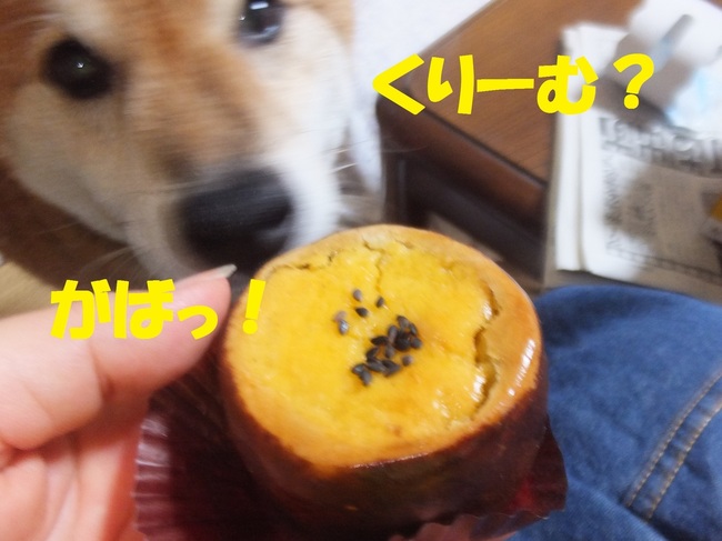 DSCF0845.JPG