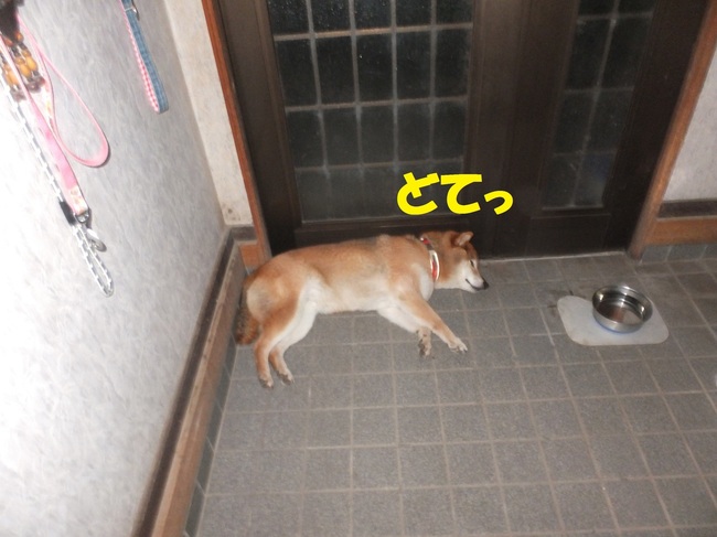 DSCF0849.JPG