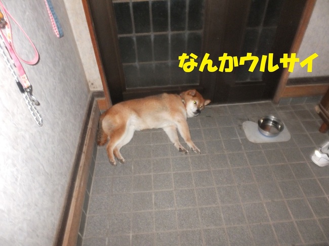 DSCF0850.JPG