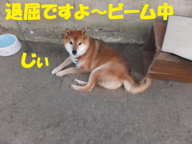 DSCF0866.JPG