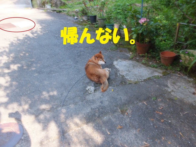 DSCF0873.JPG
