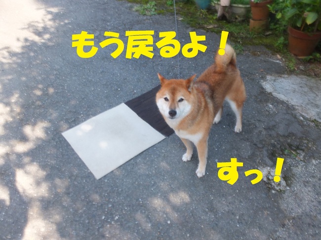 DSCF0879.JPG