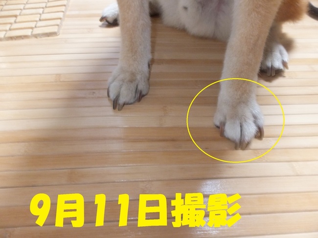 DSCF1454.JPG