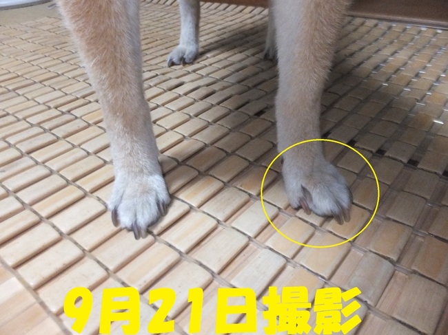 DSCF1771.JPG