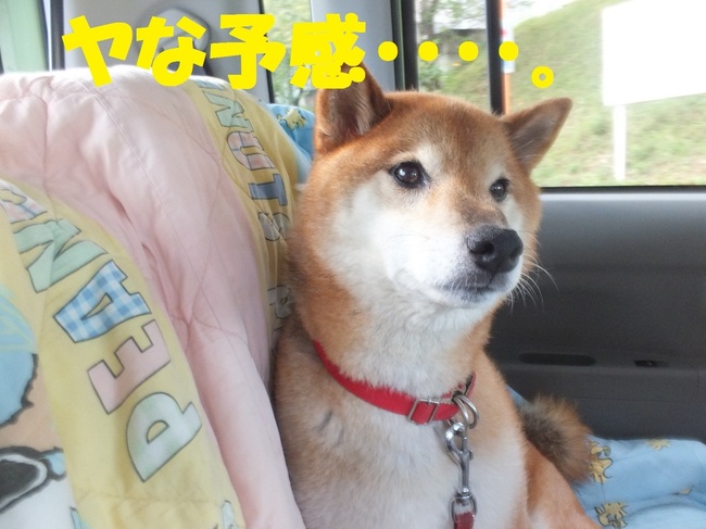 DSCF1797.JPG