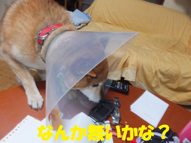 DSCF1984.JPG
