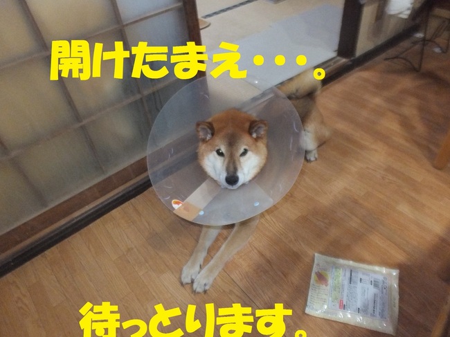 DSCF1997.JPG