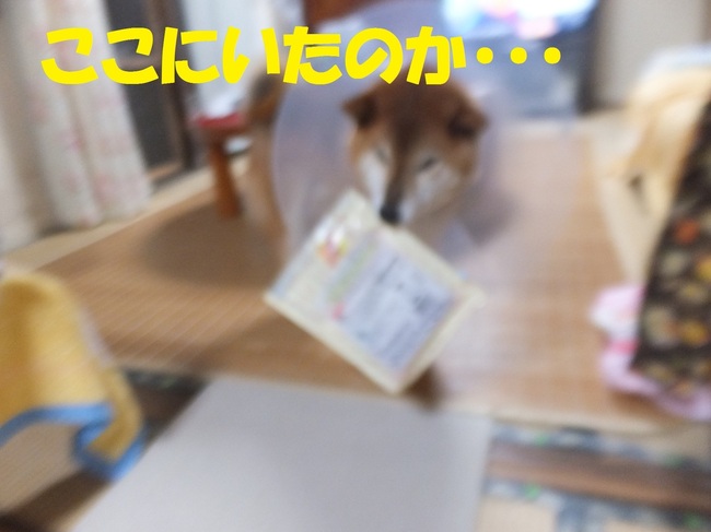 DSCF2004.JPG