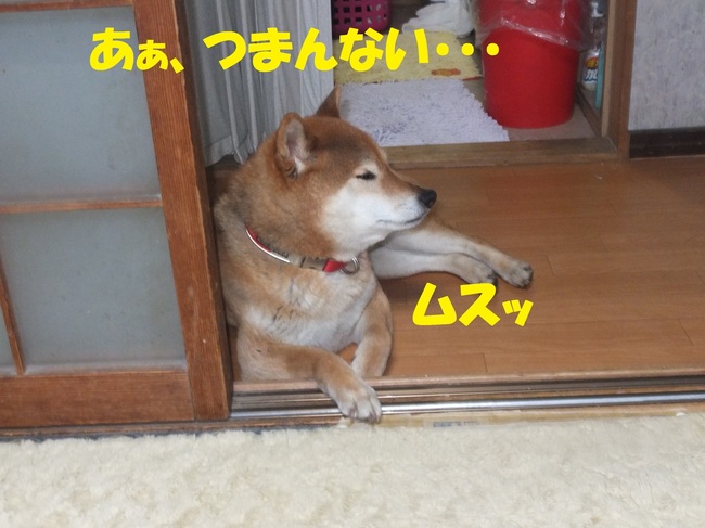 DSCF6730-1.jpg