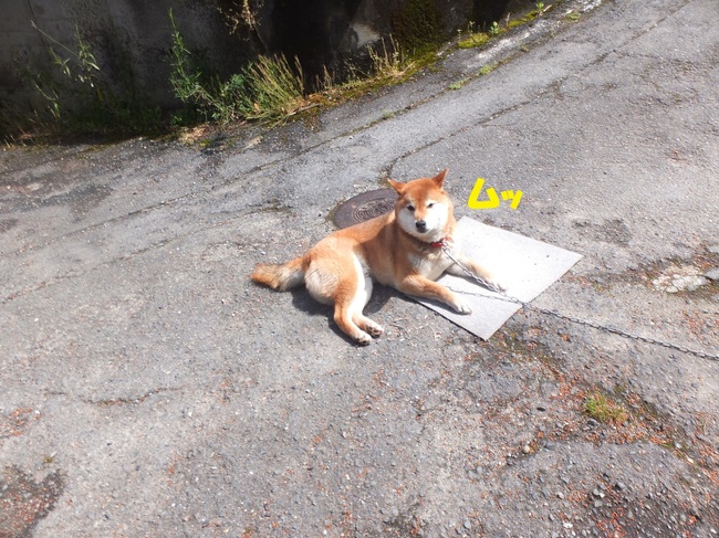 DSCF6760-1.jpg