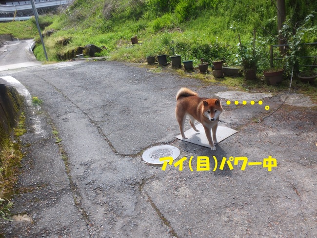 DSCF6763-1.jpg