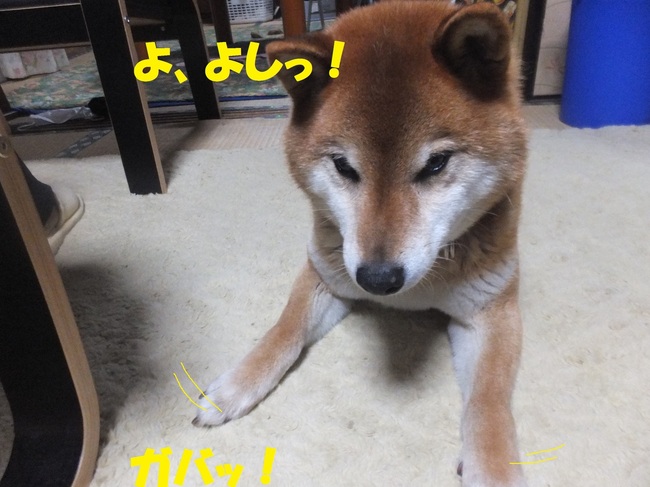 DSCF6864-.jpg