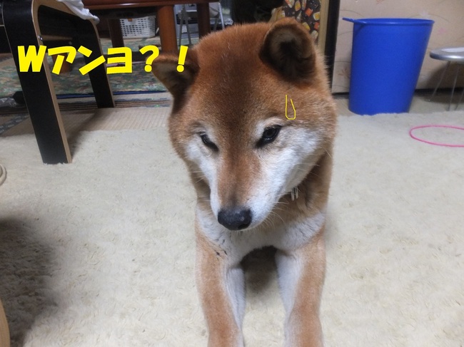 DSCF6865-1.jpg