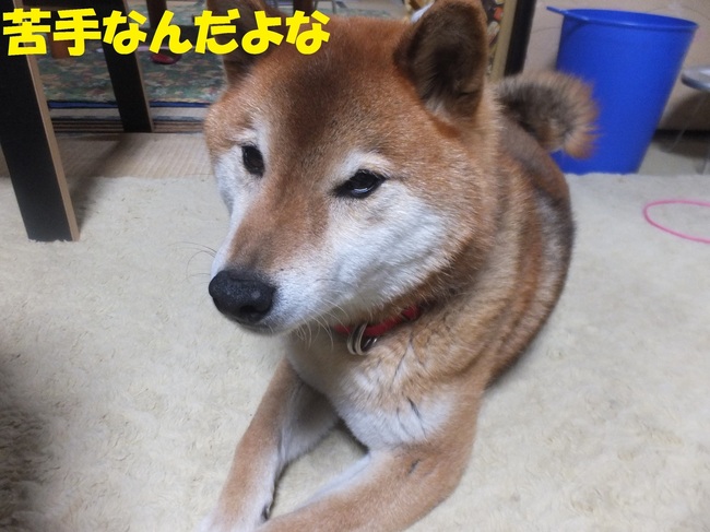 DSCF6869-1.jpg