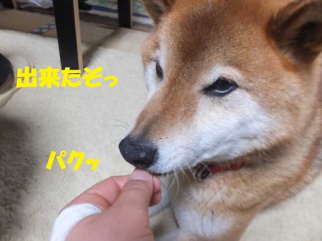 DSCF6870-1.jpg