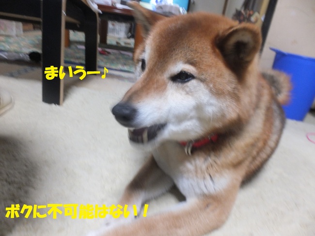 DSCF6871-1.jpg
