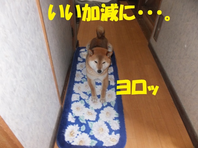 DSCF7938-1.jpg