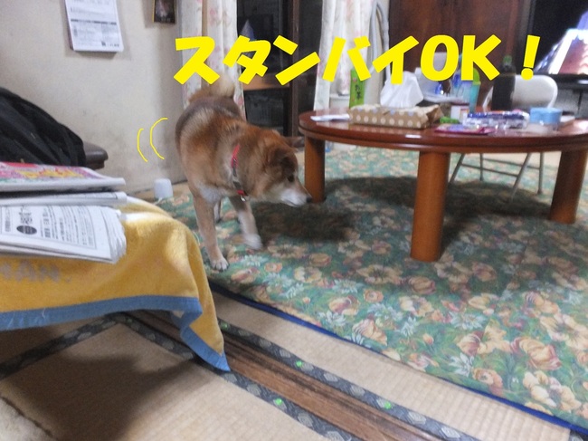 DSCF7956-1.jpg