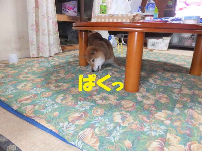 DSCF7964-1.jpg