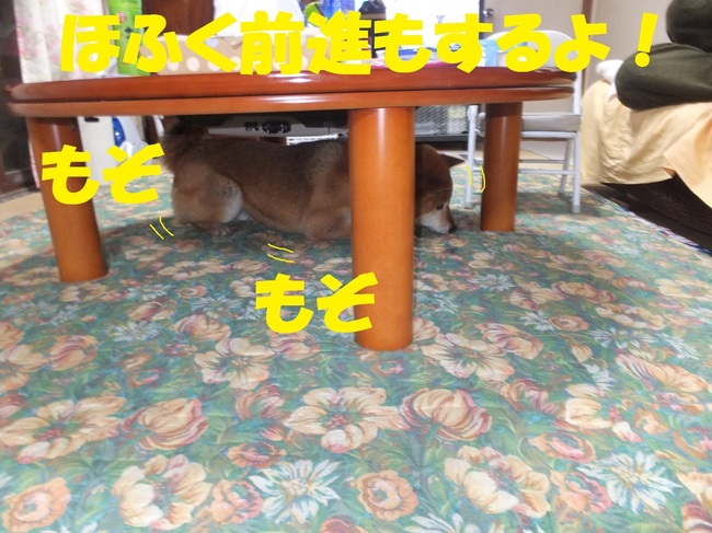DSCF7966-1.jpg