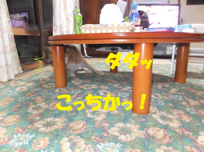 DSCF7967-1.jpg