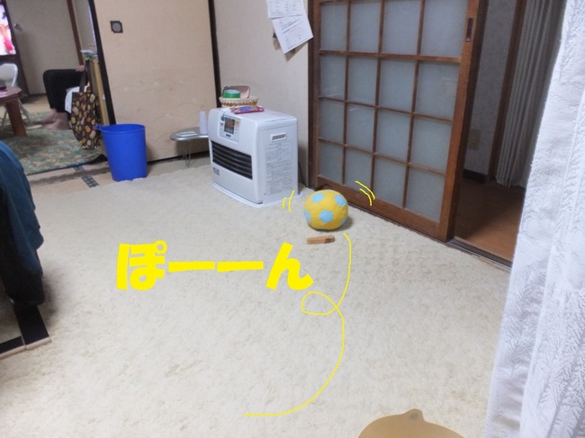 DSCF8008-1.jpg