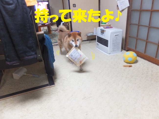 DSCF8009-1.jpg