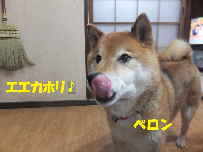 DSCF8991.JPG