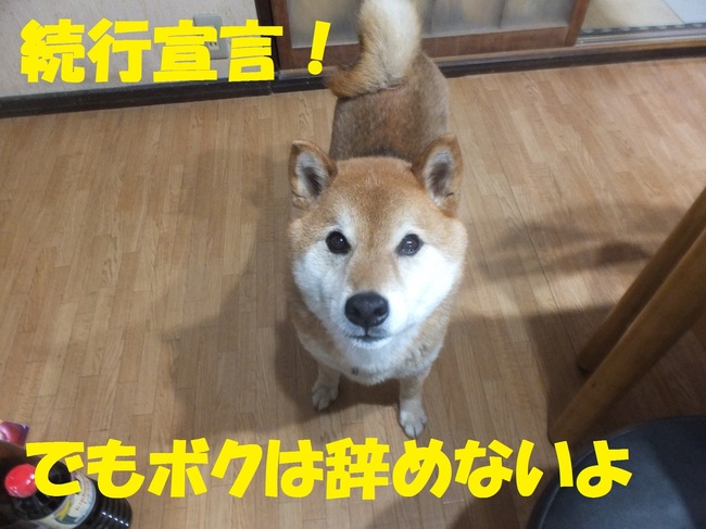 DSCF9004.JPG