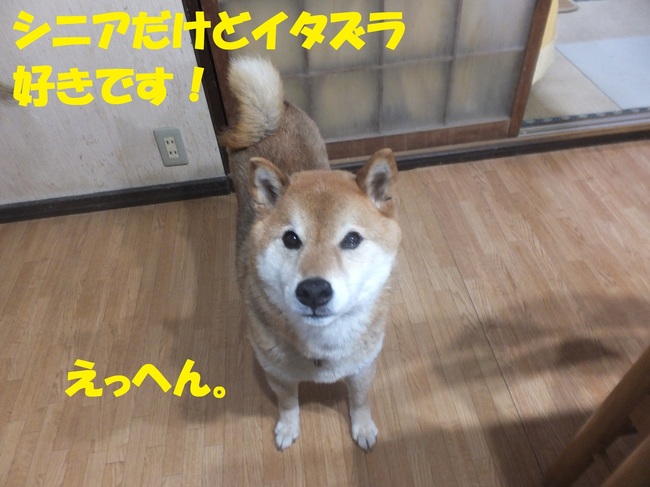 DSCF9009-1.jpg