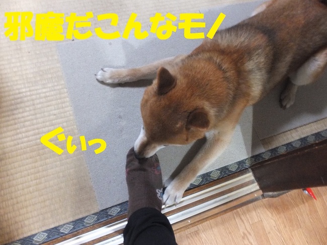 DSCF9011.JPG