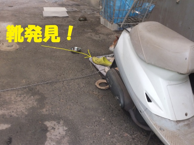 DSCF9076.JPG
