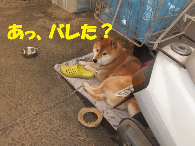 DSCF9077.JPG