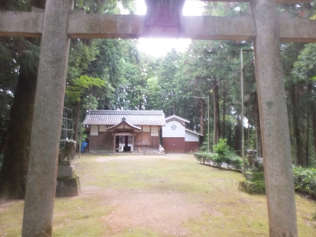 DSCF9873.JPG