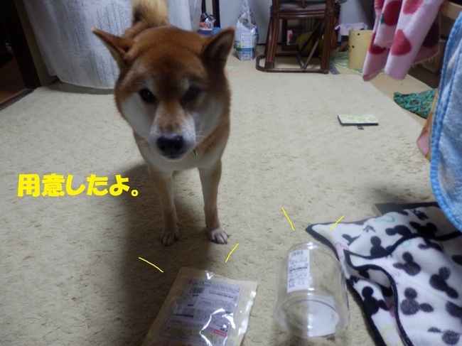 P1260215-1.jpg