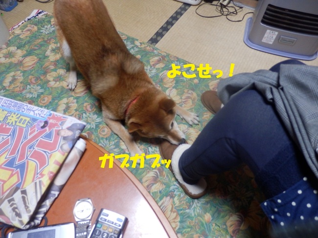 P1270240-1.jpg