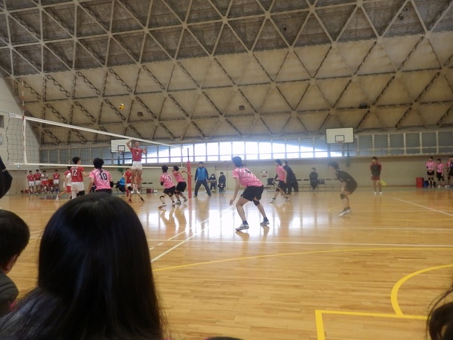 P1290274-1.jpg