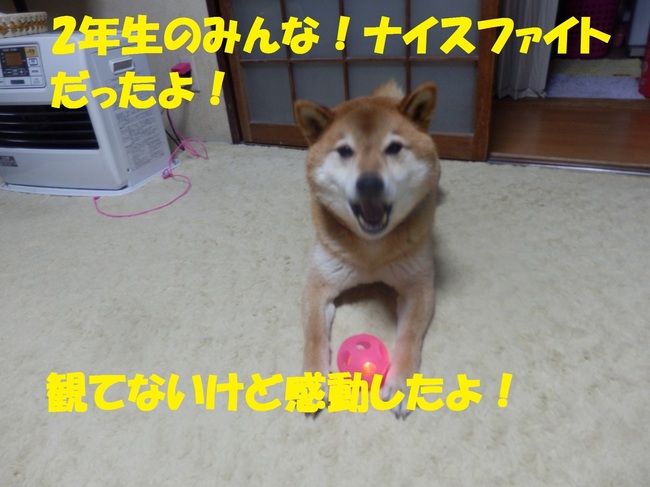 P1290292-1.jpg