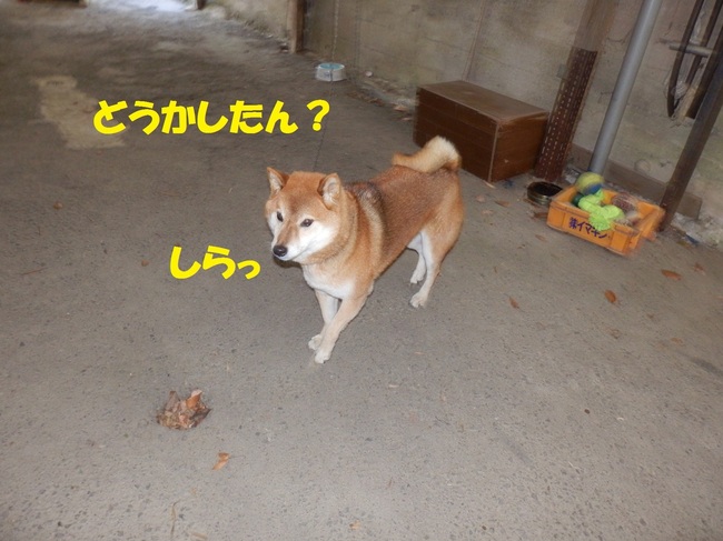 PC233710-1.jpg