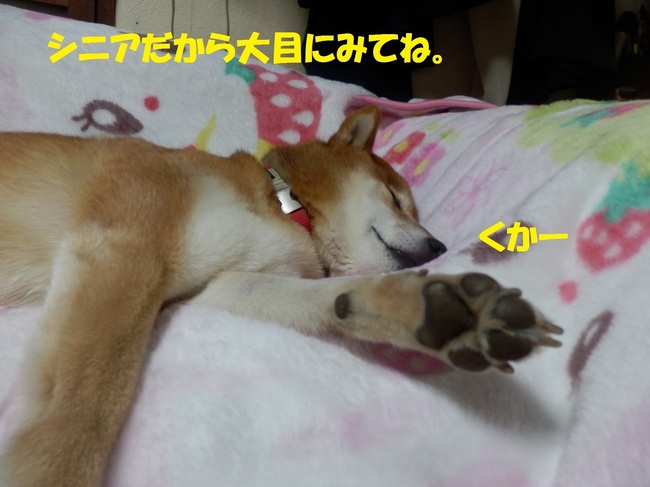 PC233751-1.jpg