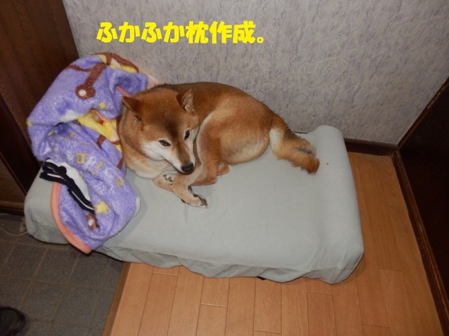 PC243805-1.jpg