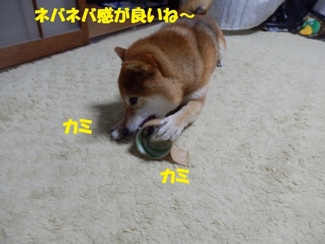 PC243820-1.jpg