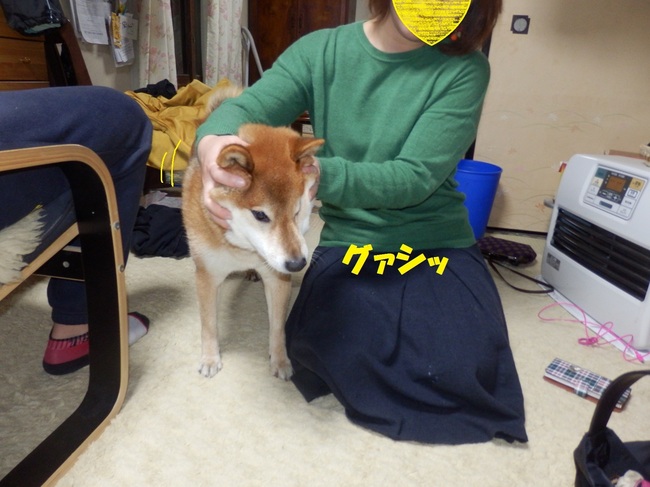 PC263868-1.jpg